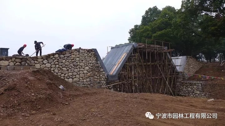 640.webp.jpg 640.webp.jpg