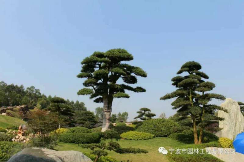 06_meitu_16.jpg 06_meitu_16.jpg