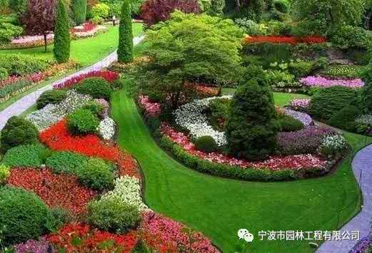 543532900.jpg 543532900.jpg