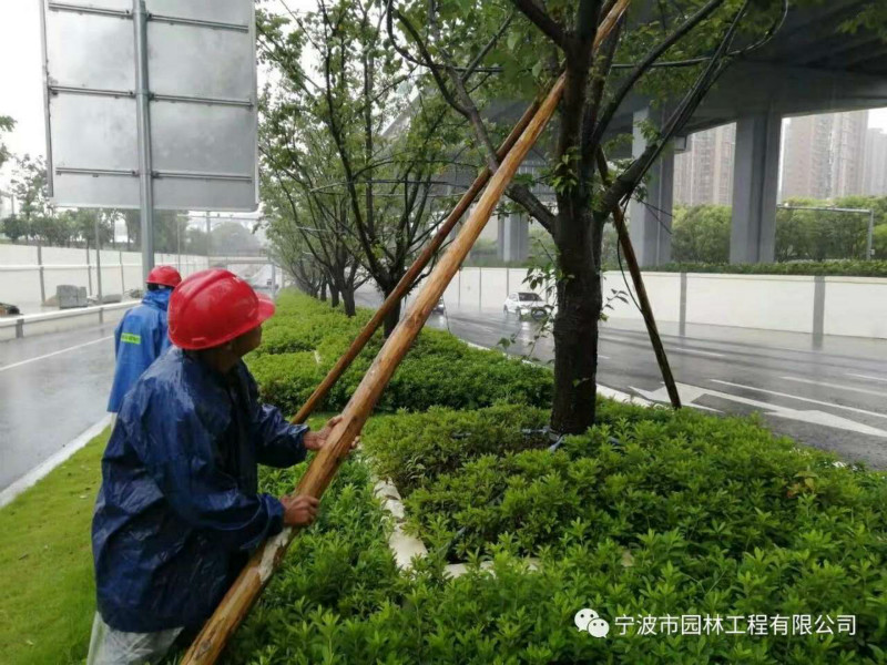 03_meitu_11.jpg 03_meitu_11.jpg