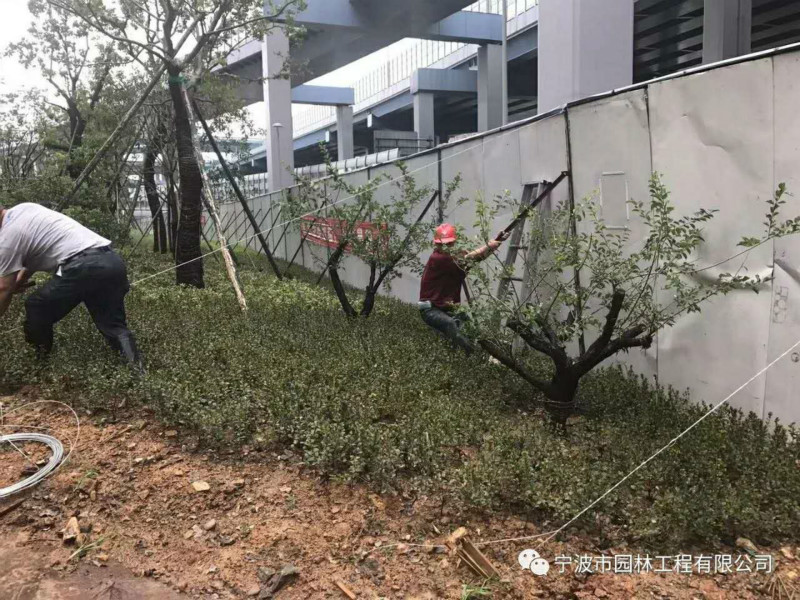 05_meitu_13.jpg 05_meitu_13.jpg