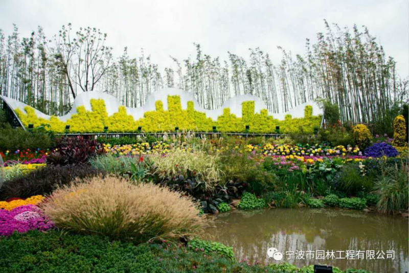 06_meitu_10.jpg 06_meitu_10.jpg