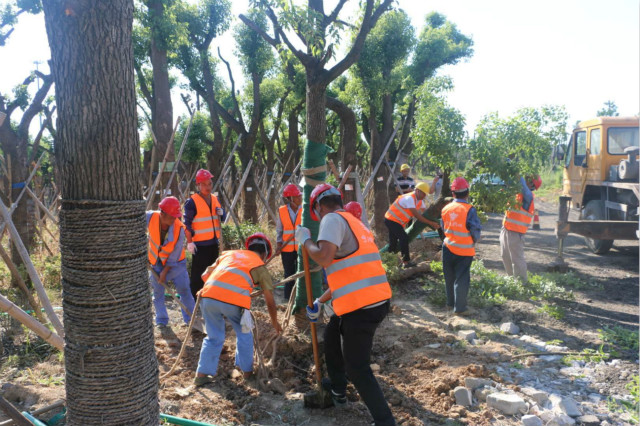 1320780782_meitu_4.jpg 1320780782_meitu_4.jpg