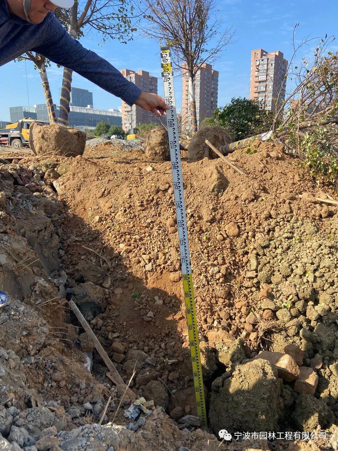 法國2.jpg 法國2.jpg