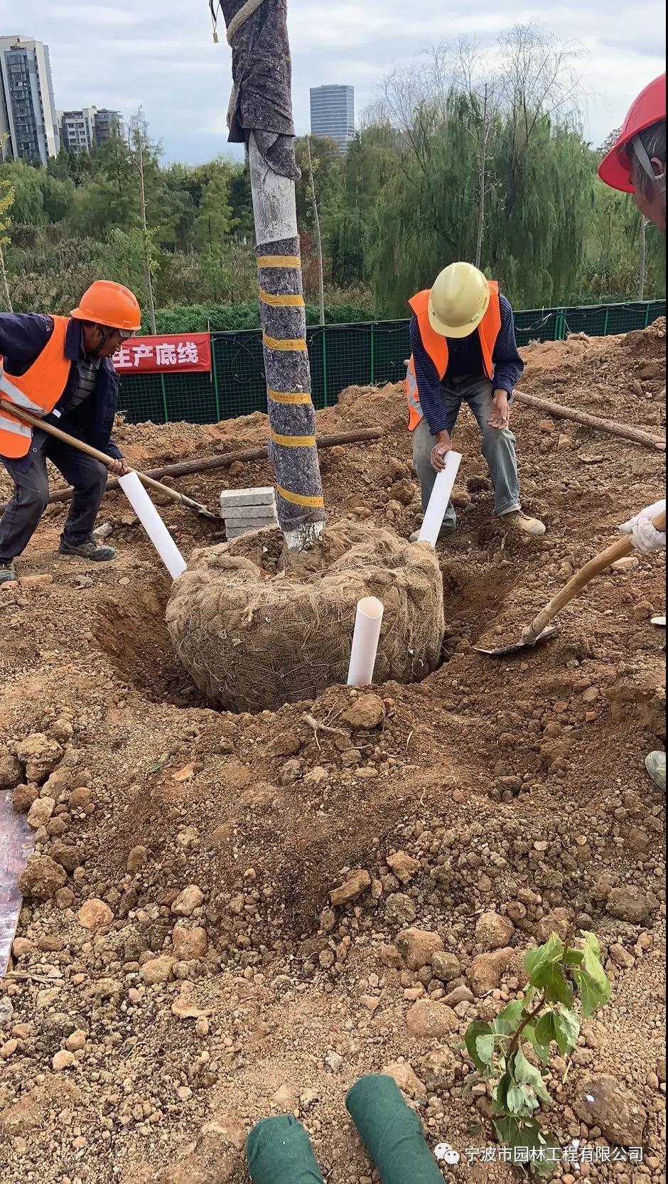 法國3.jpg 法國3.jpg