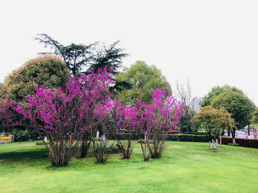 webwxgetmsgimg (3)_meitu_2.jpg webwxgetmsgimg (3)_meitu_2.jpg