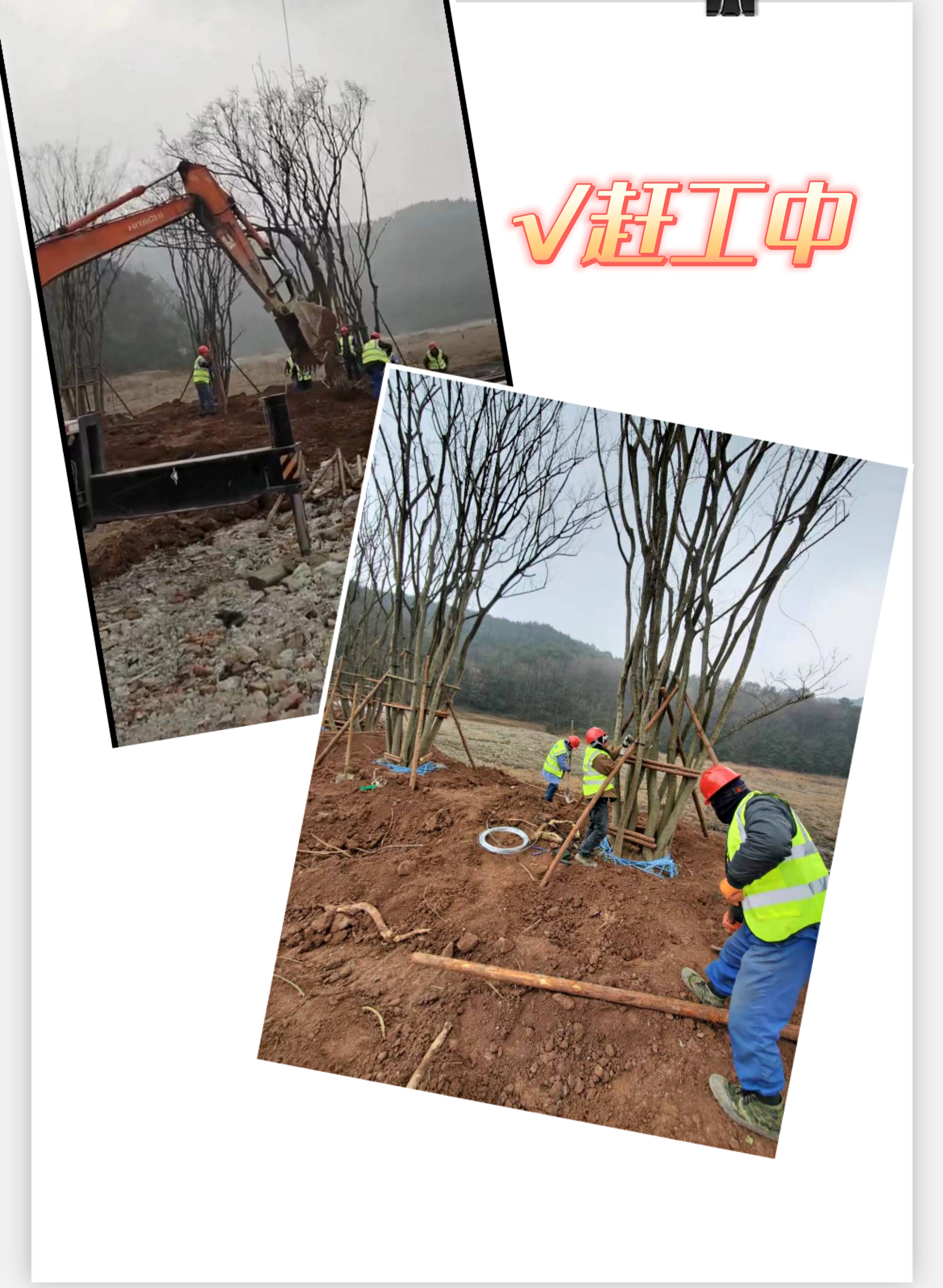 6b4371a5e2ab2f8d962de4d7fed0a90.jpg 6b4371a5e2ab2f8d962de4d7fed0a90.jpg