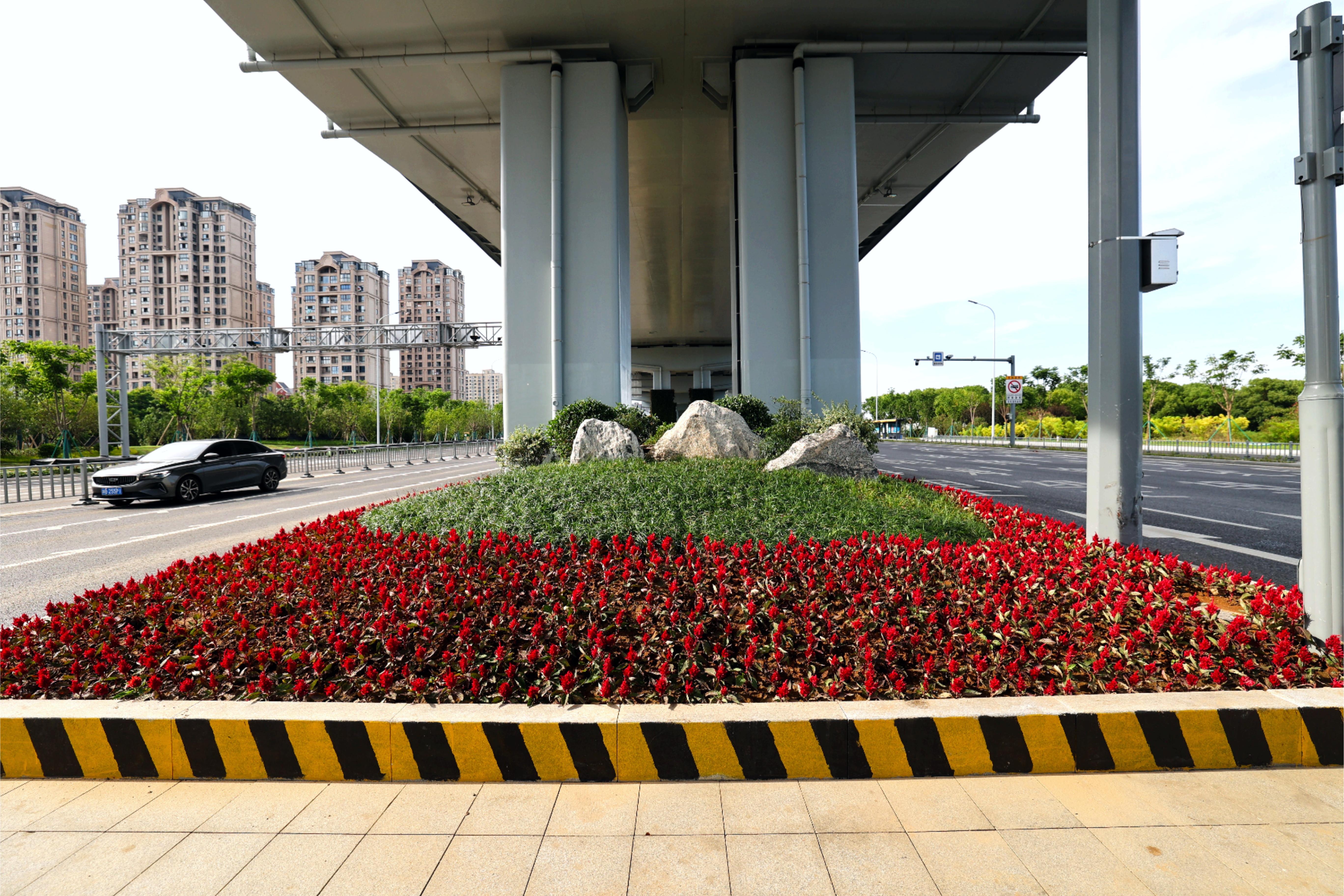 通過合理配置不同花色、葉色的植物，形成豐富的色彩層次和季相變化，提升道路景觀的觀賞性和趣味性.JPG